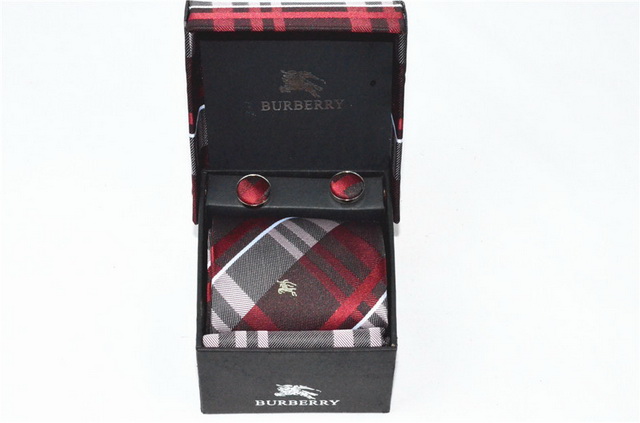 Burberry Ties 13